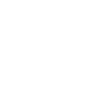 Sign Language Icon