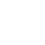 Wheelchair Accessible Icon