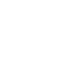 Wheelchair Accessible Icon